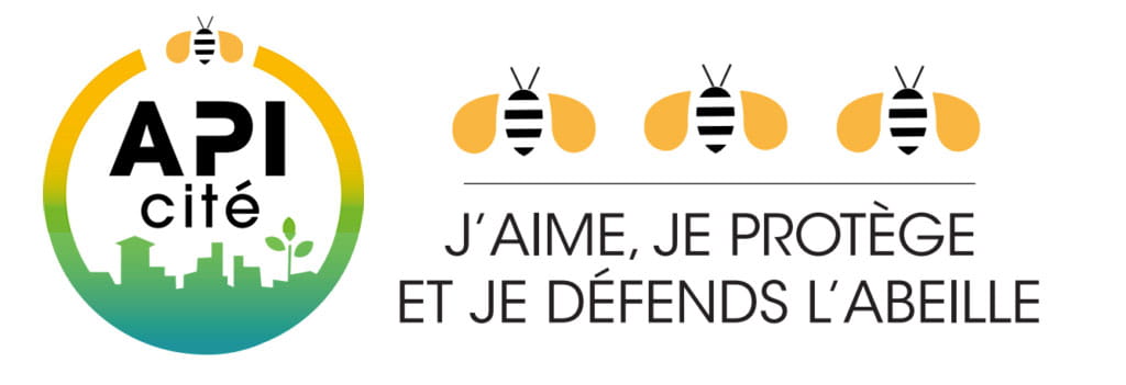 API cité