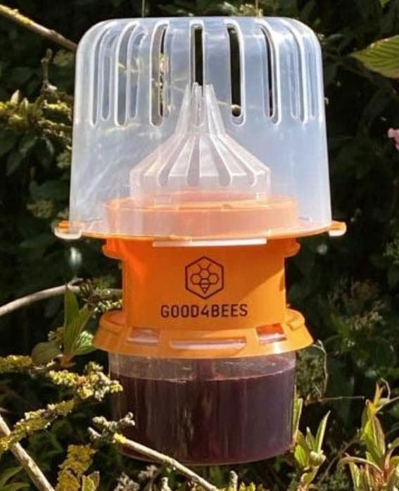 Pièges sélectif à frelons asiatique